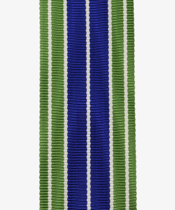USA, US Army Achievement Medal (235)